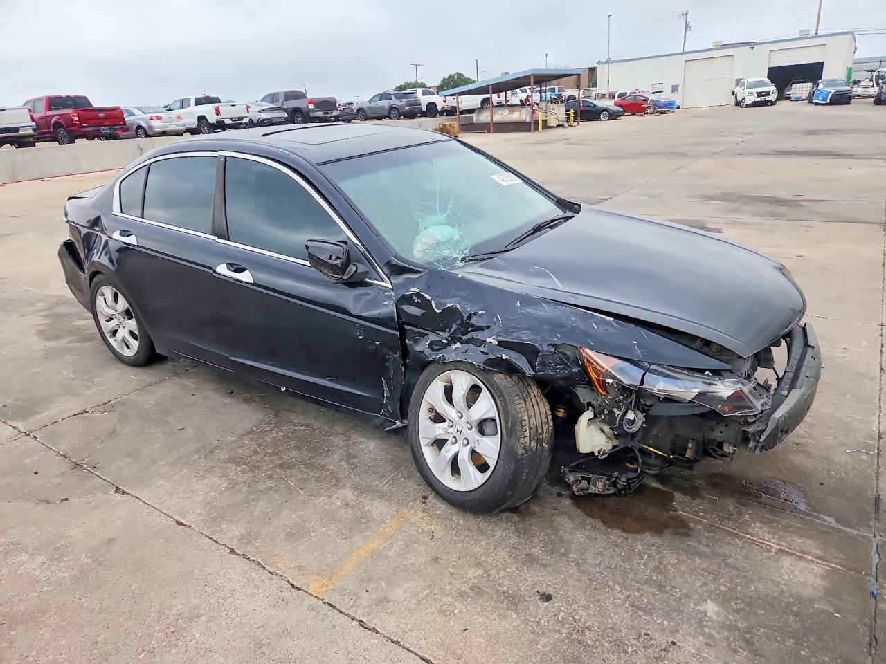 Honda Accord Exl