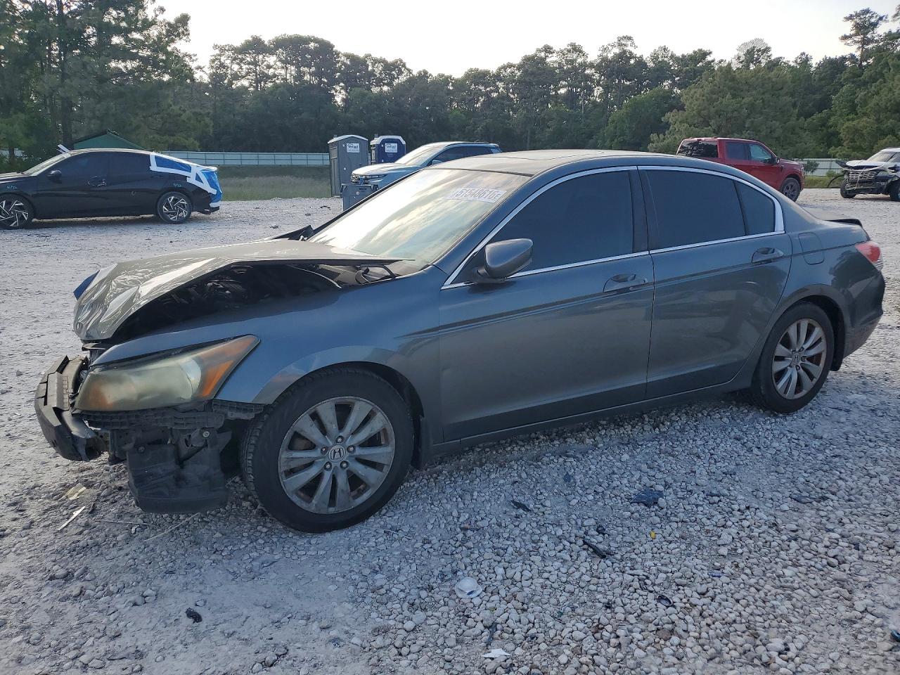 Salvage Honda Accord Image