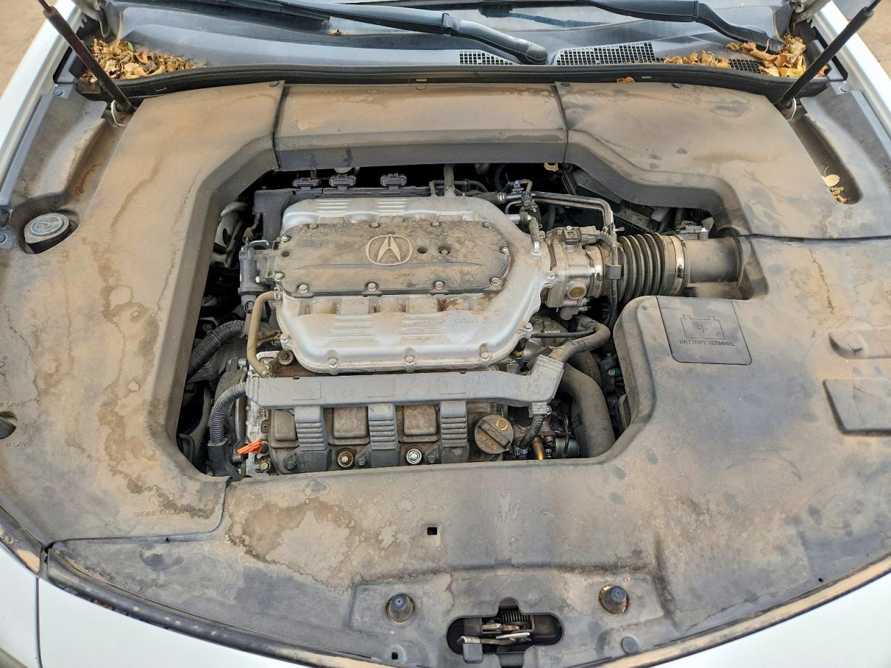 Acura TL