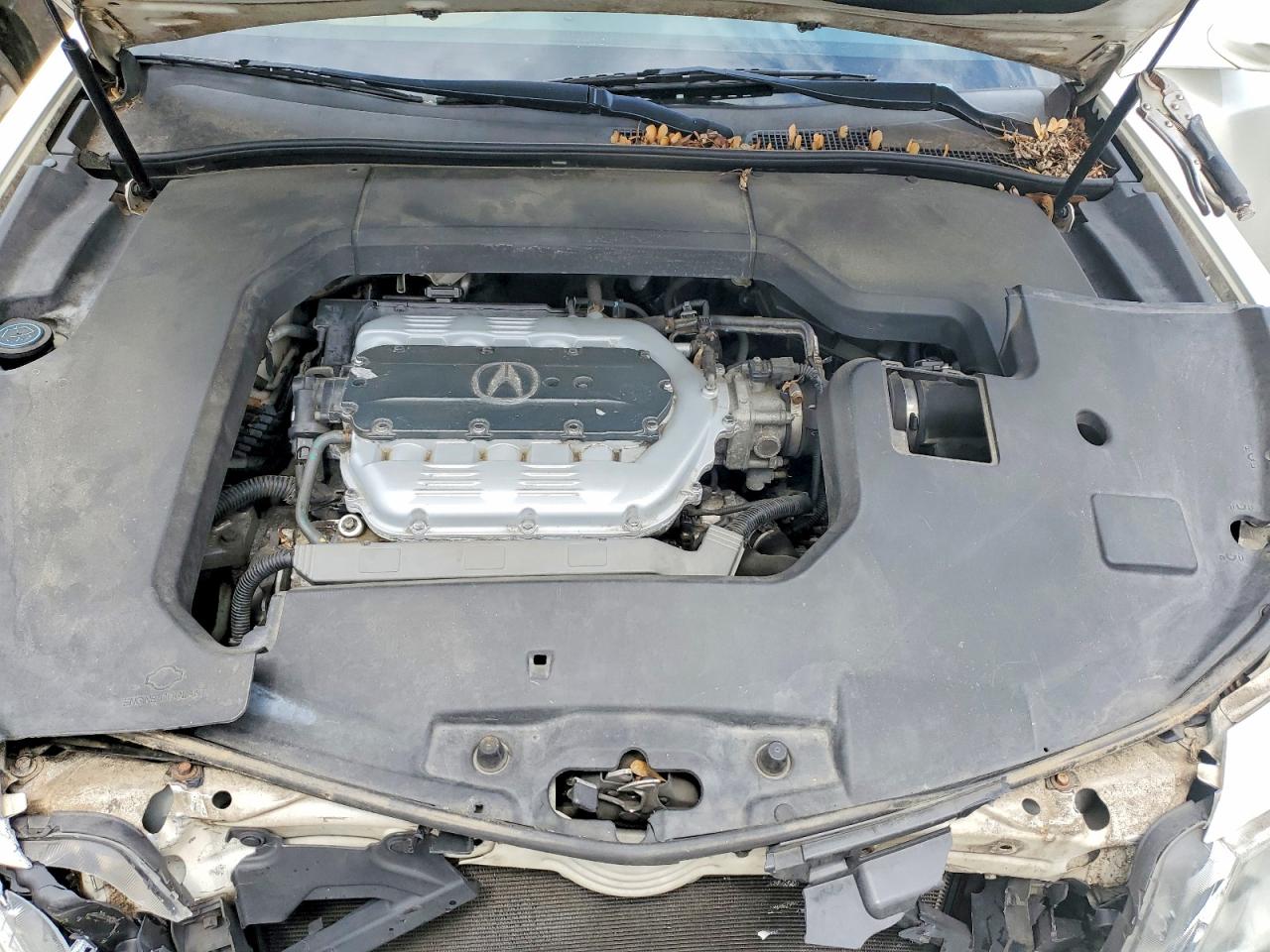Acura TL