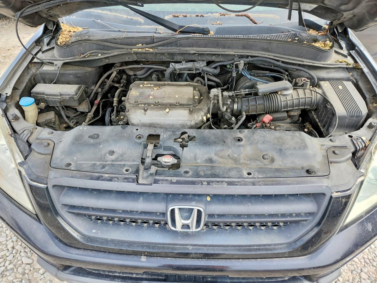 Honda Pilot Exl