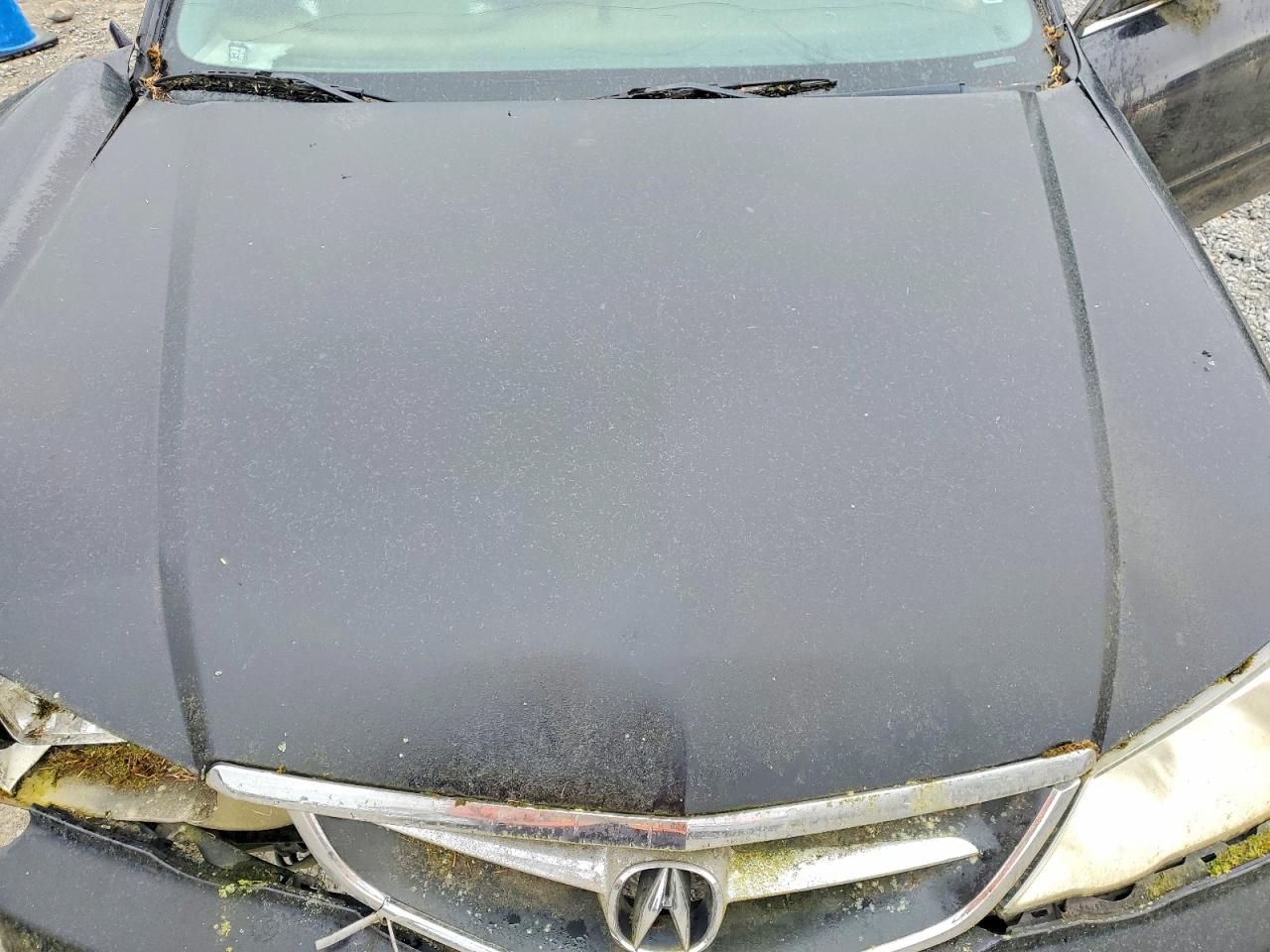 Acura TL