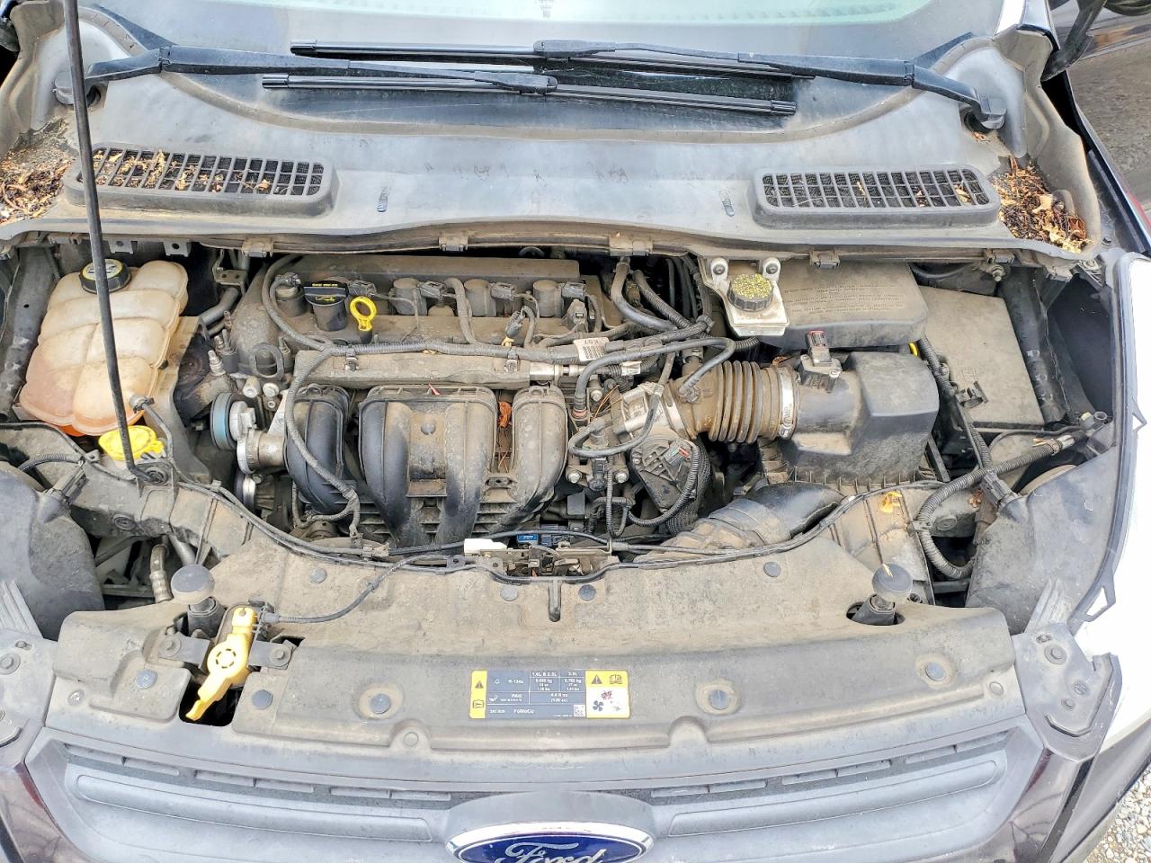 Ford Escape S