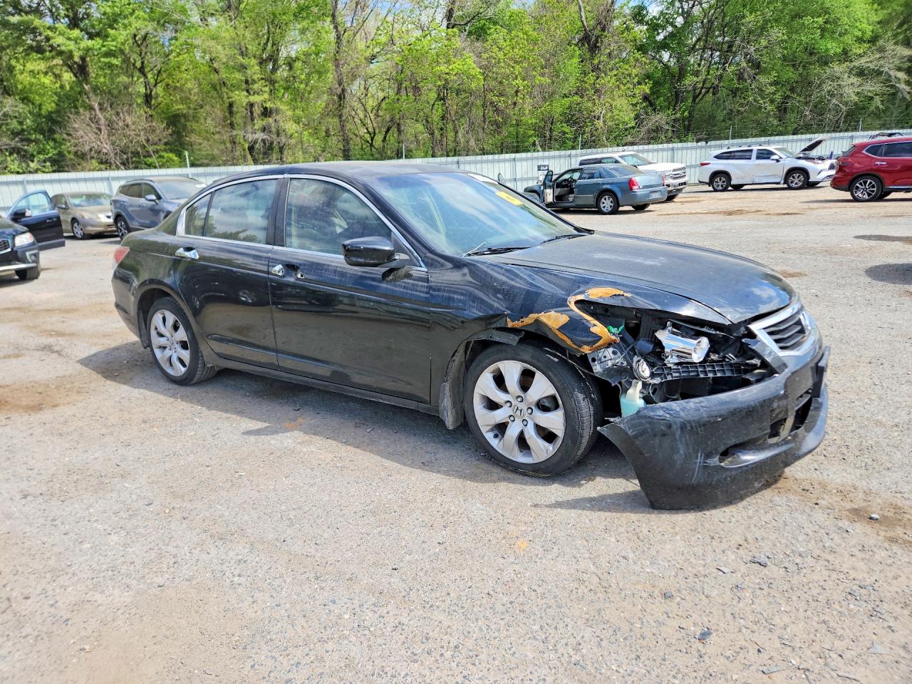 Honda Accord Exl