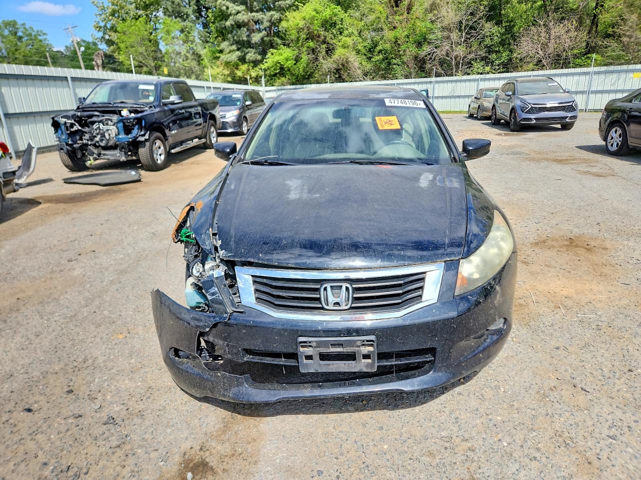 Honda Accord Exl