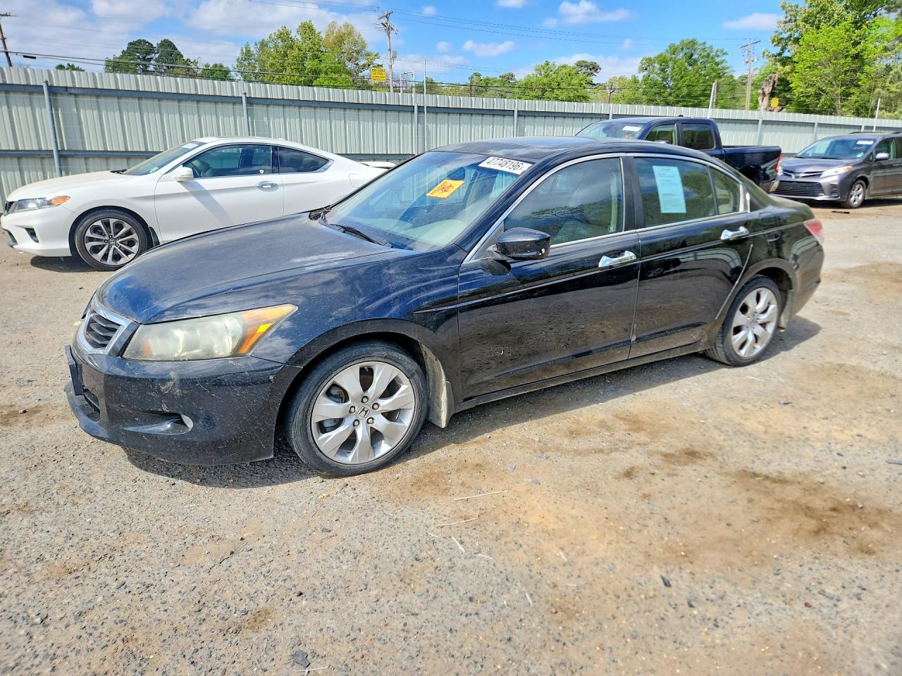 Salvage Honda Accord Image