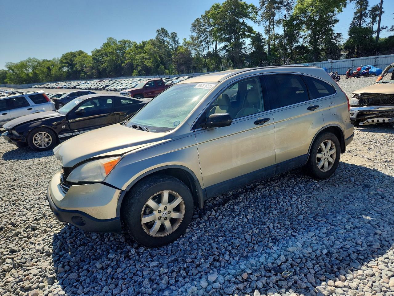 Salvage Honda Crv Image