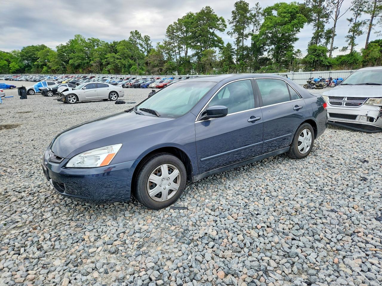 Salvage Honda Accord Image