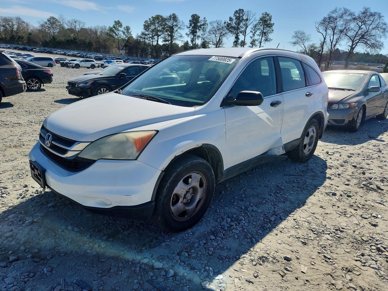 Salvage Honda Crv Image