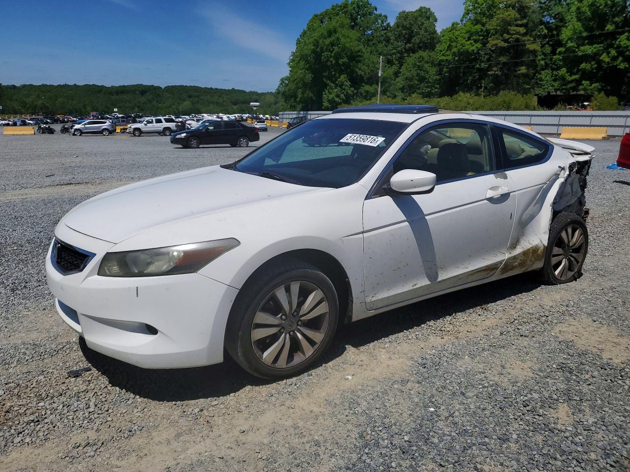 Salvage Honda Accord Image