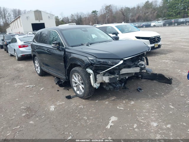 Salvage Honda CR-V Image