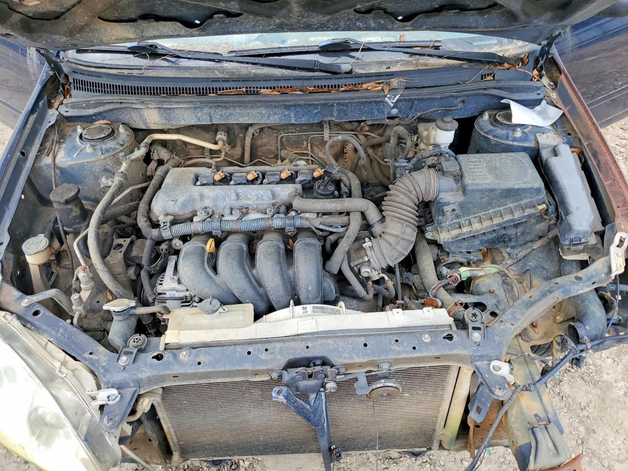 Toyota Corolla Ce