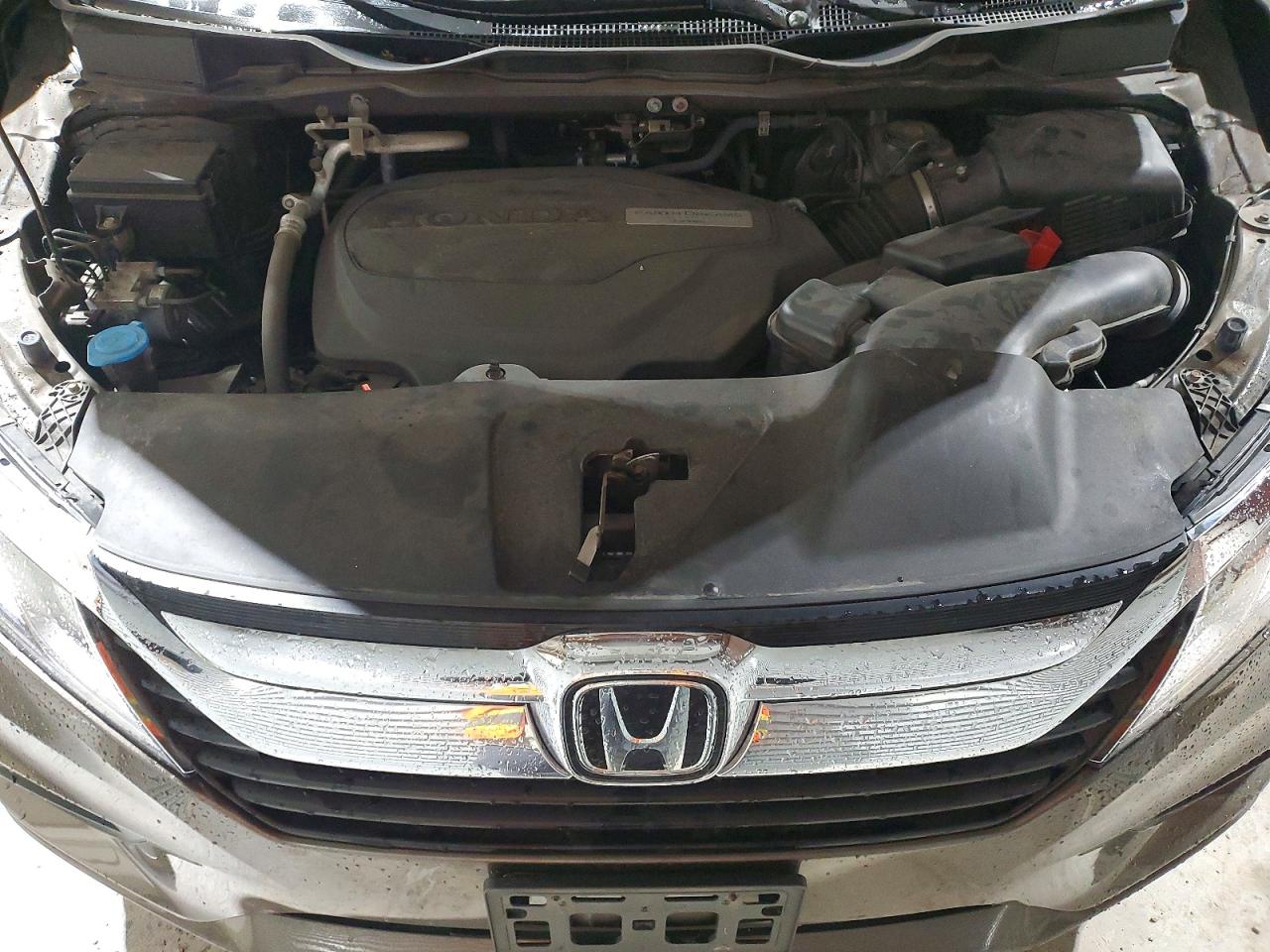 Honda Odyssey Ex
