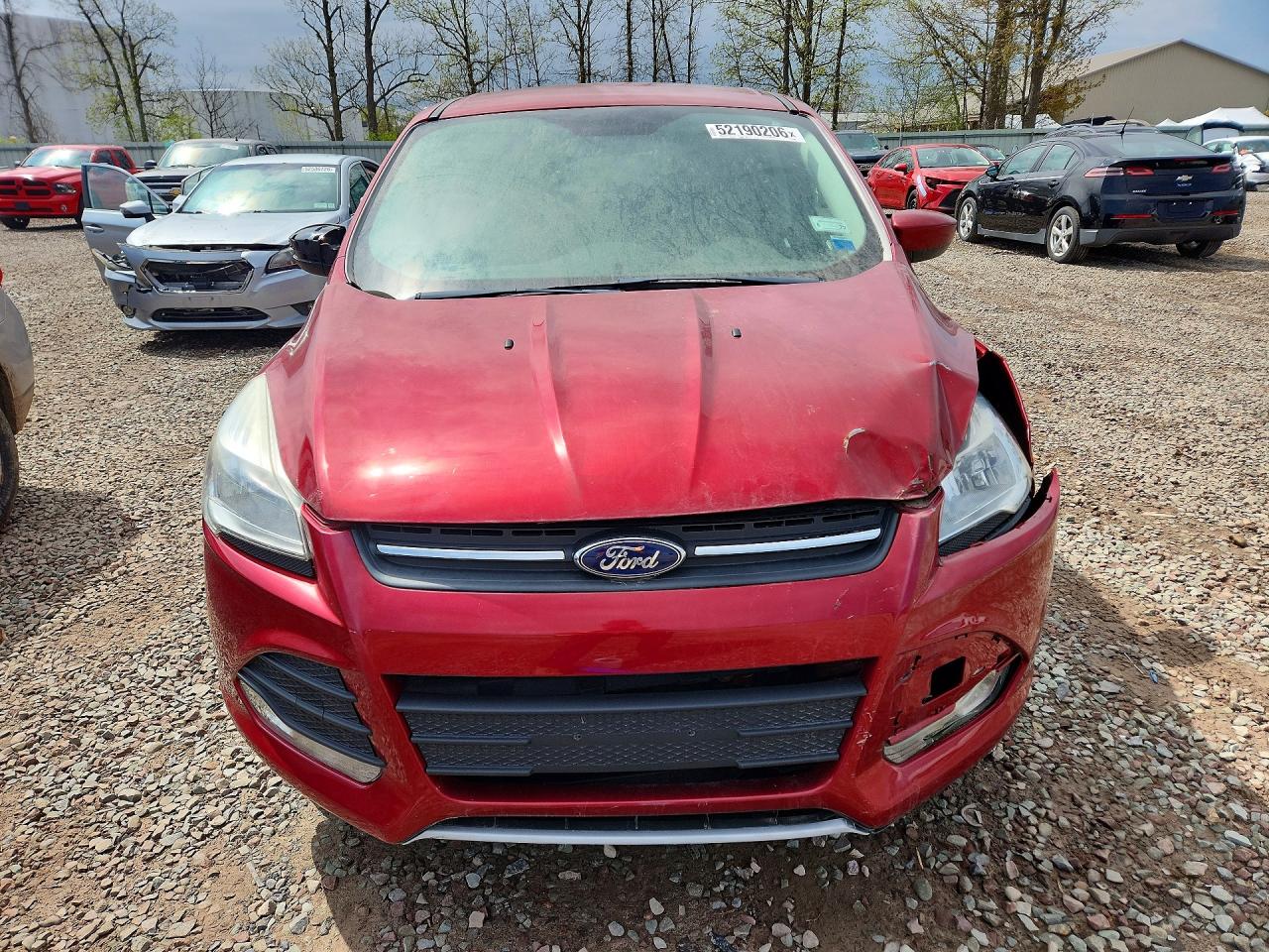 Ford Escape