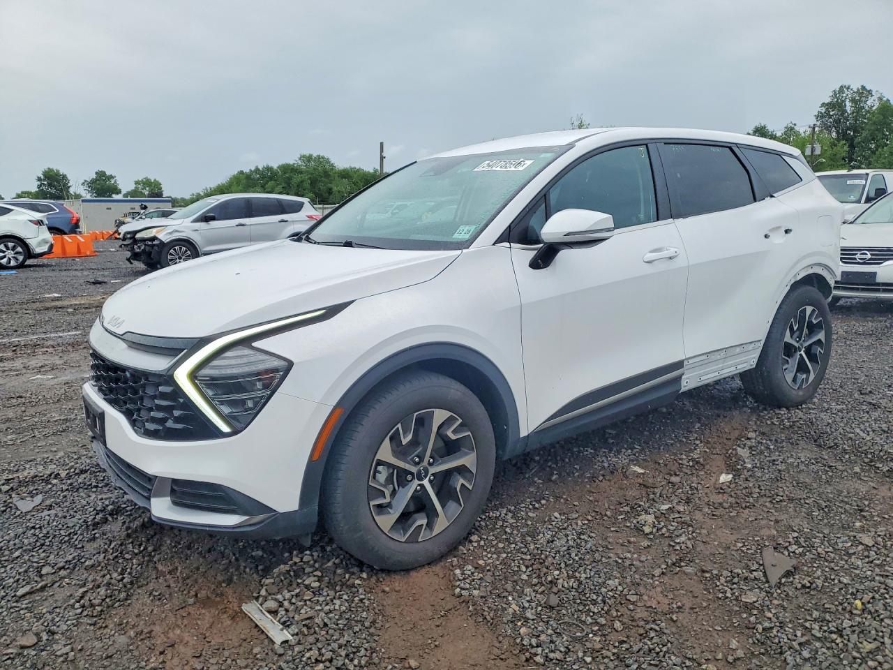 Salvage Kia Sportage Image