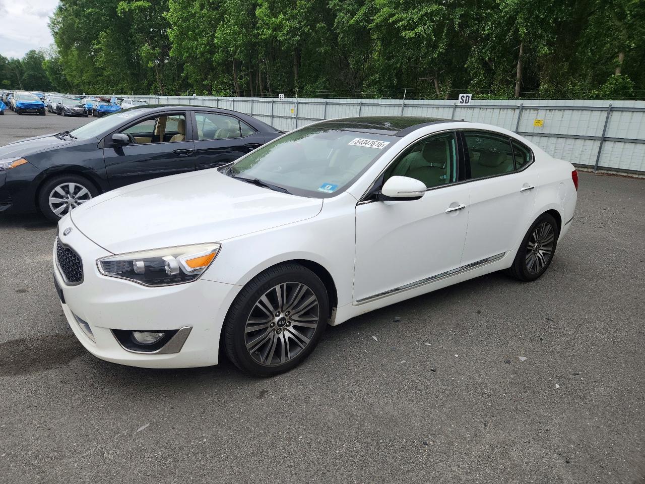 Salvage Kia Cadenza Image