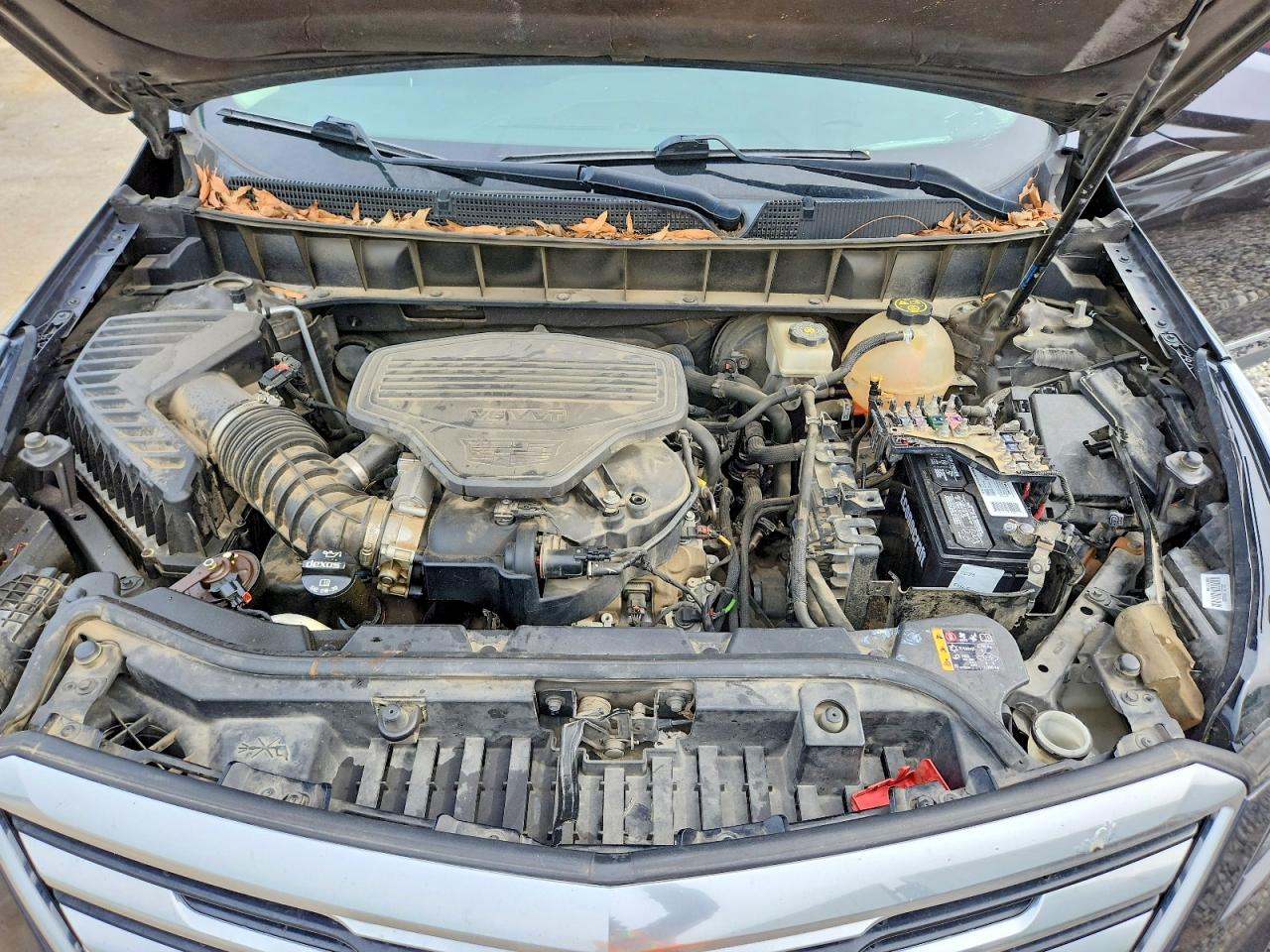 Cadillac XT5 Premium Luxury