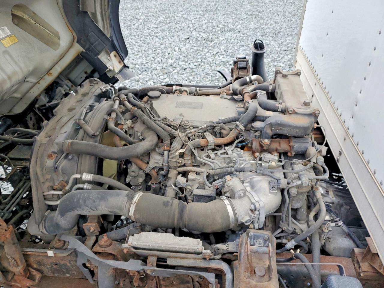 Isuzu Nqr