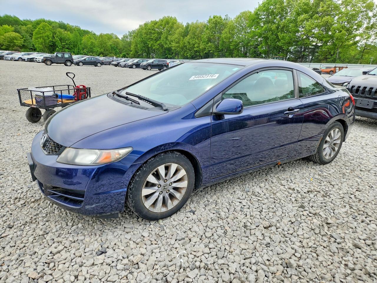 Salvage Honda Civic Image