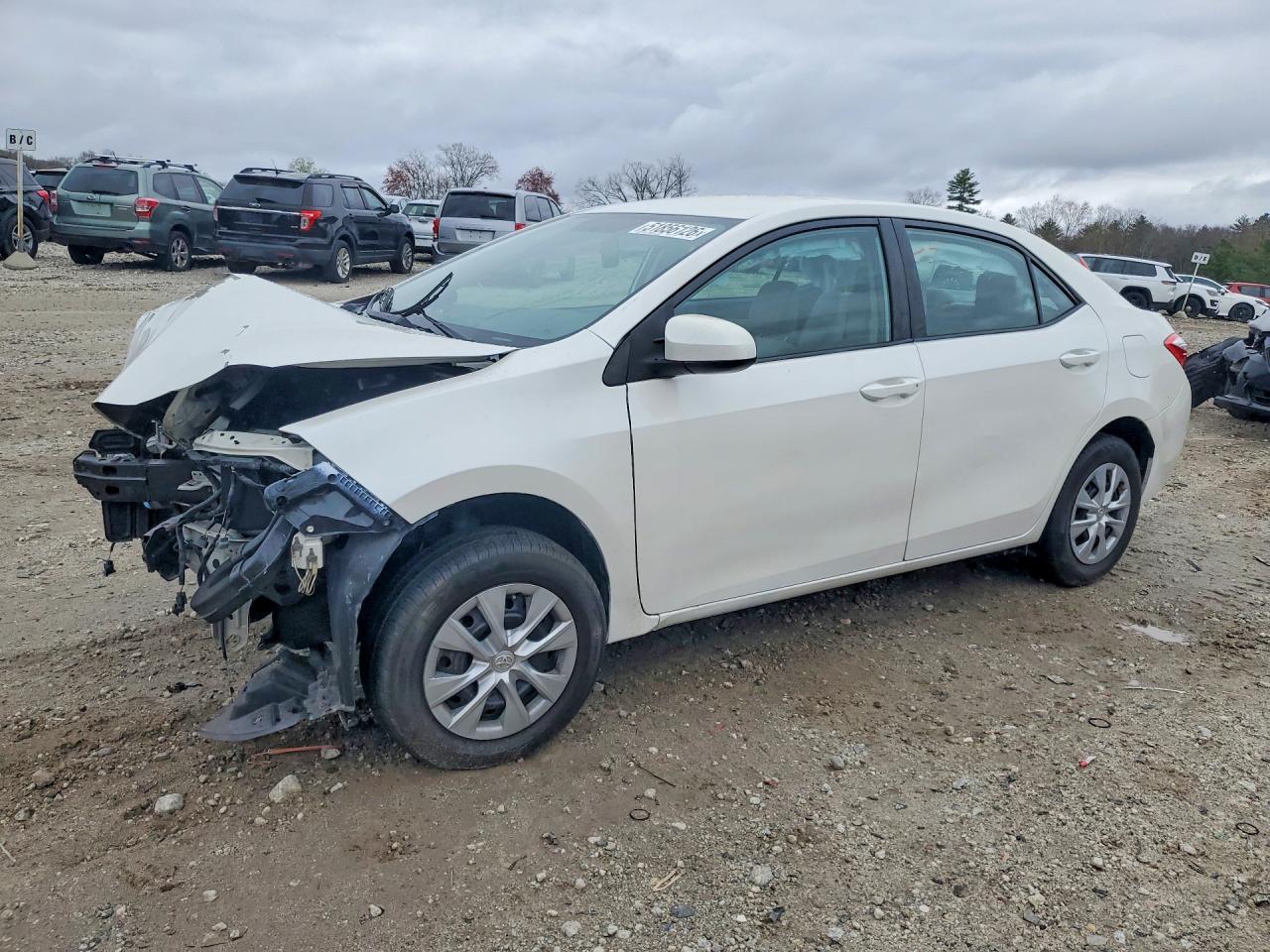 Salvage Toyota Corolla Image