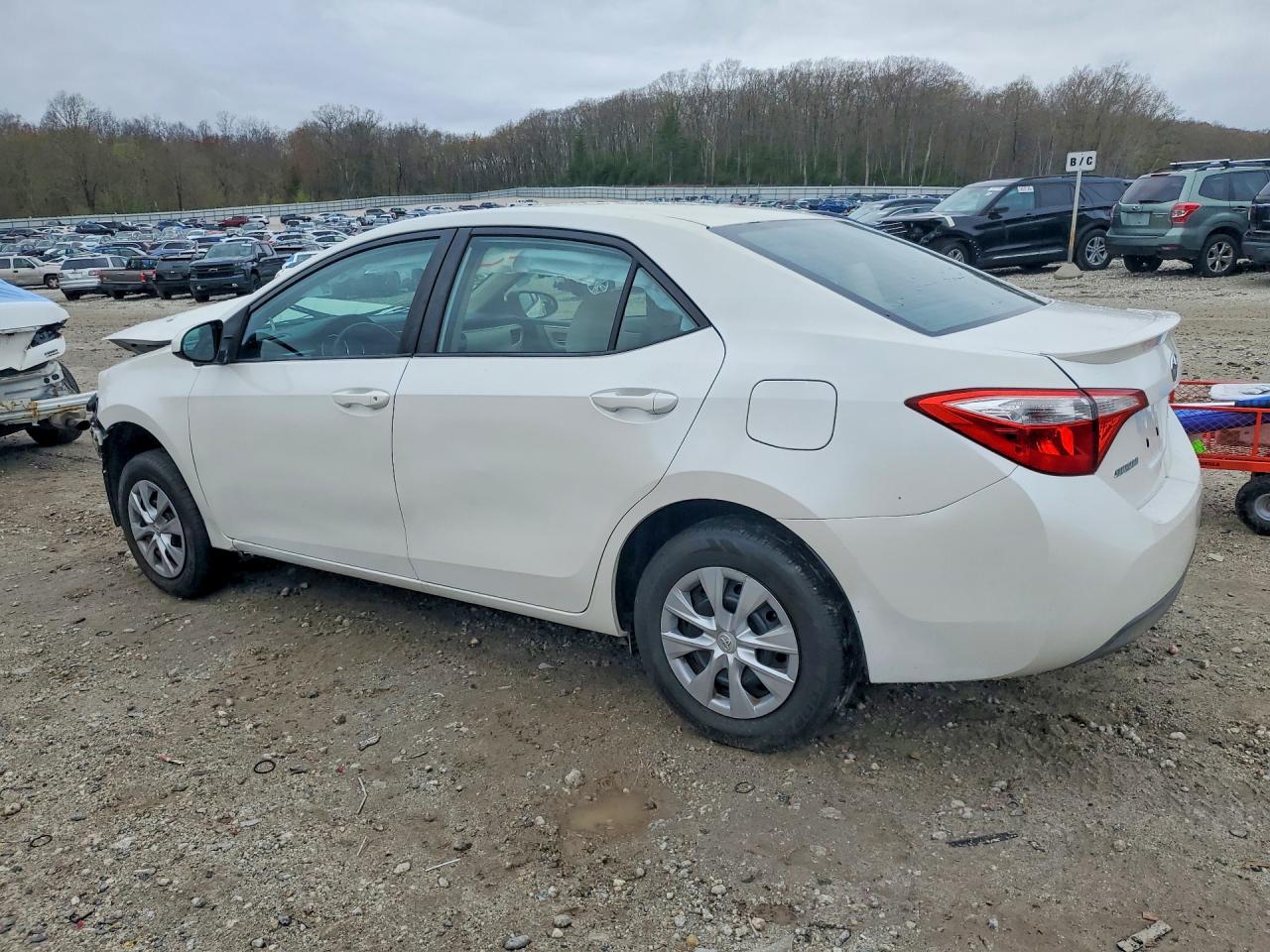 Toyota Corolla Le Eco