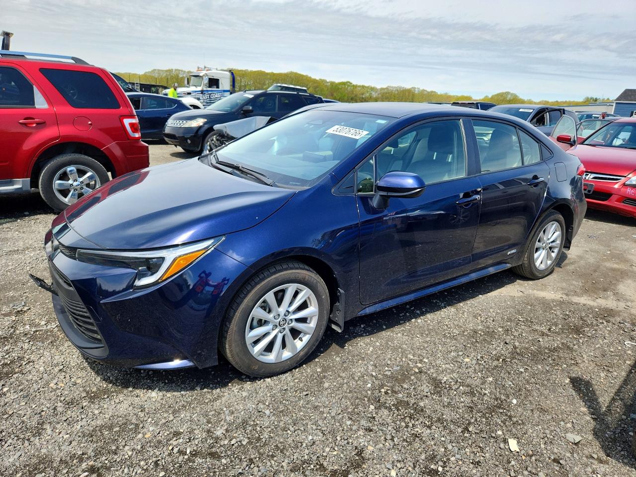 Salvage Toyota Corolla Image