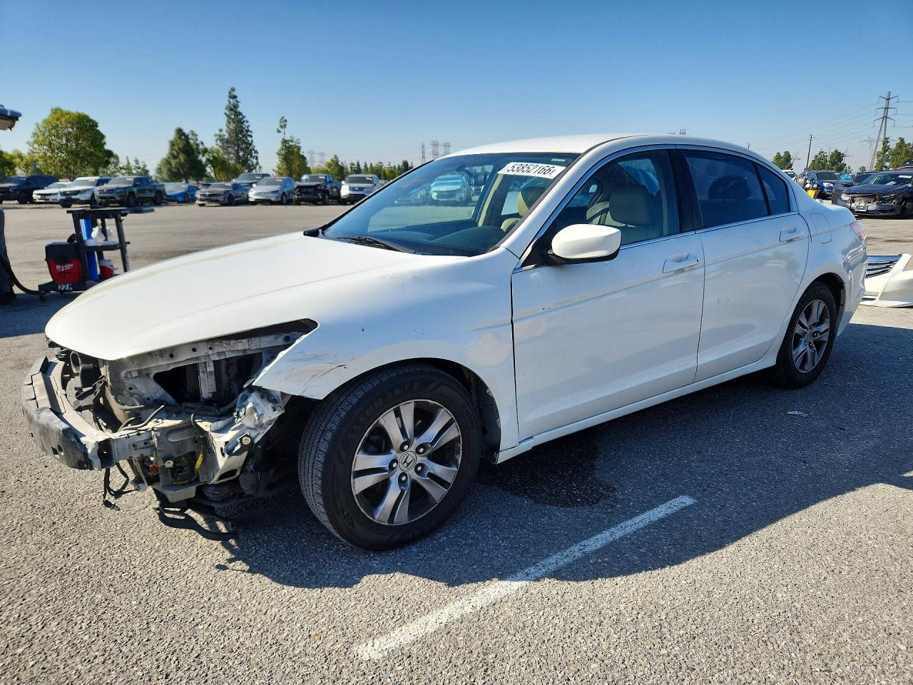 Salvage Honda Accord Image