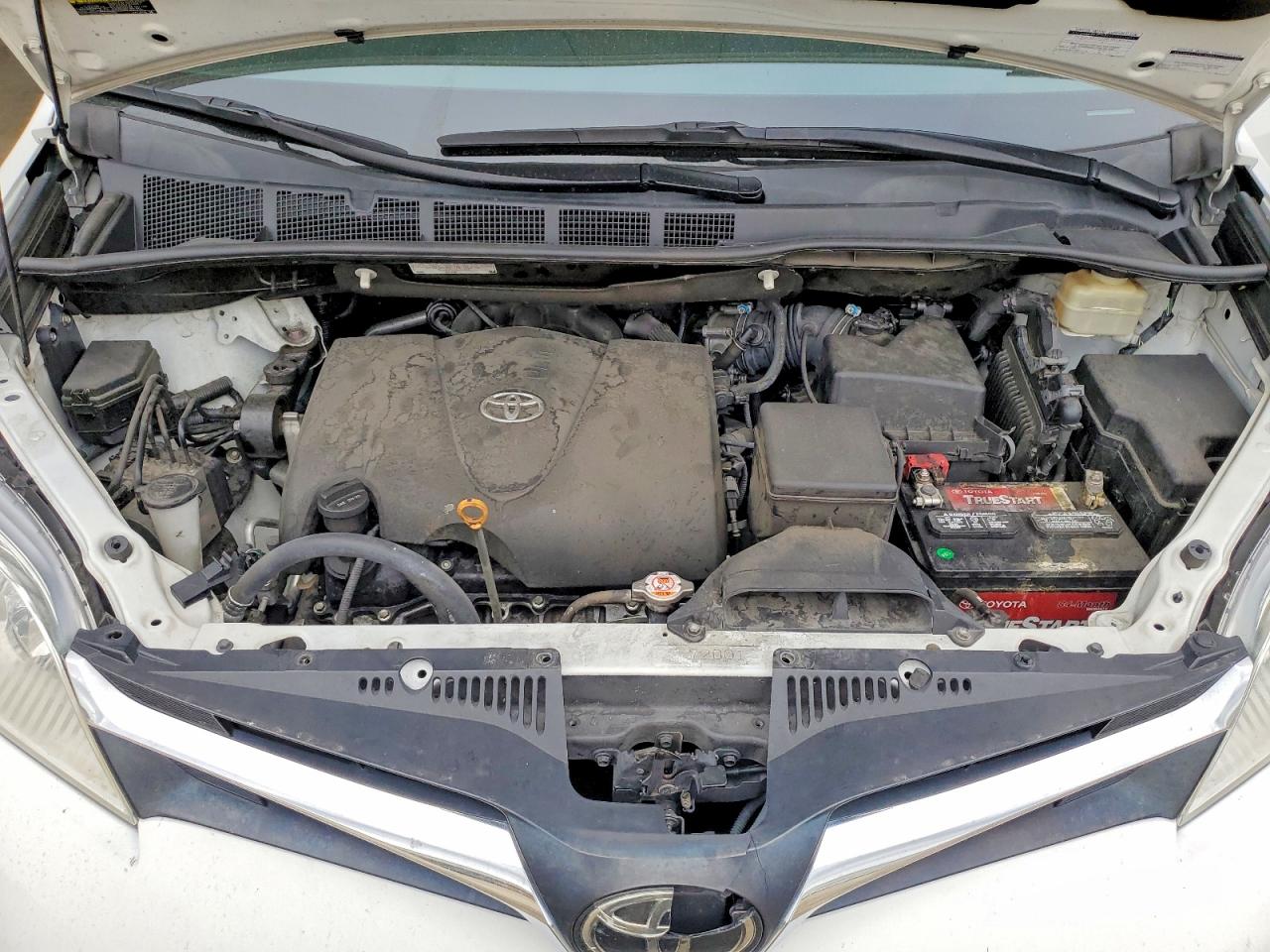 Toyota Sienna Le