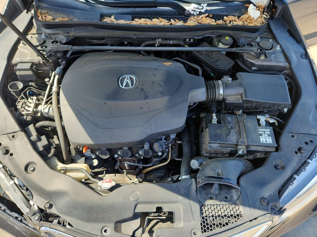 Acura TLX Tech