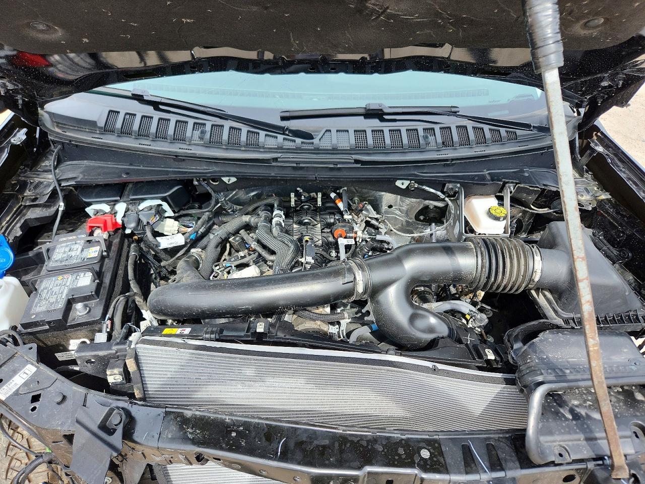 Ford Expedition Max Active