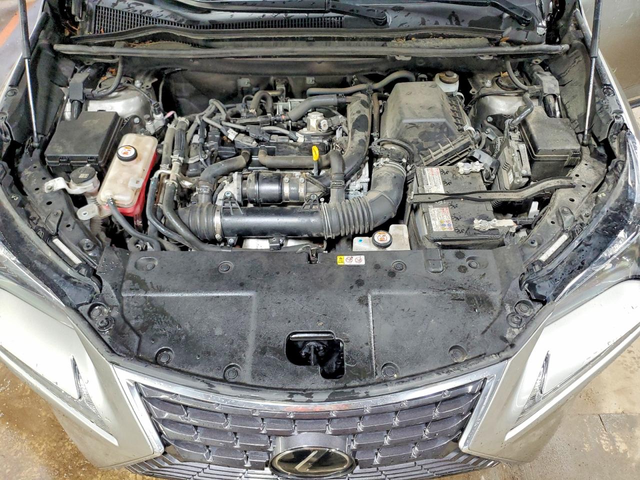 Lexus NX Base