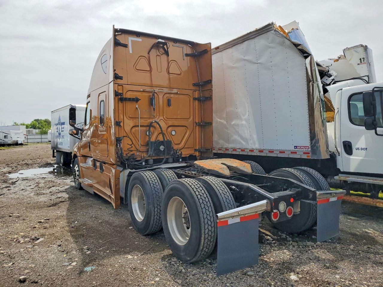 Freightliner Cascadia 126