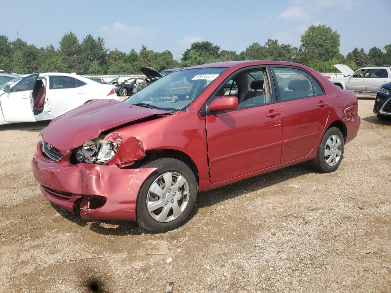Salvage Toyota Corolla Image