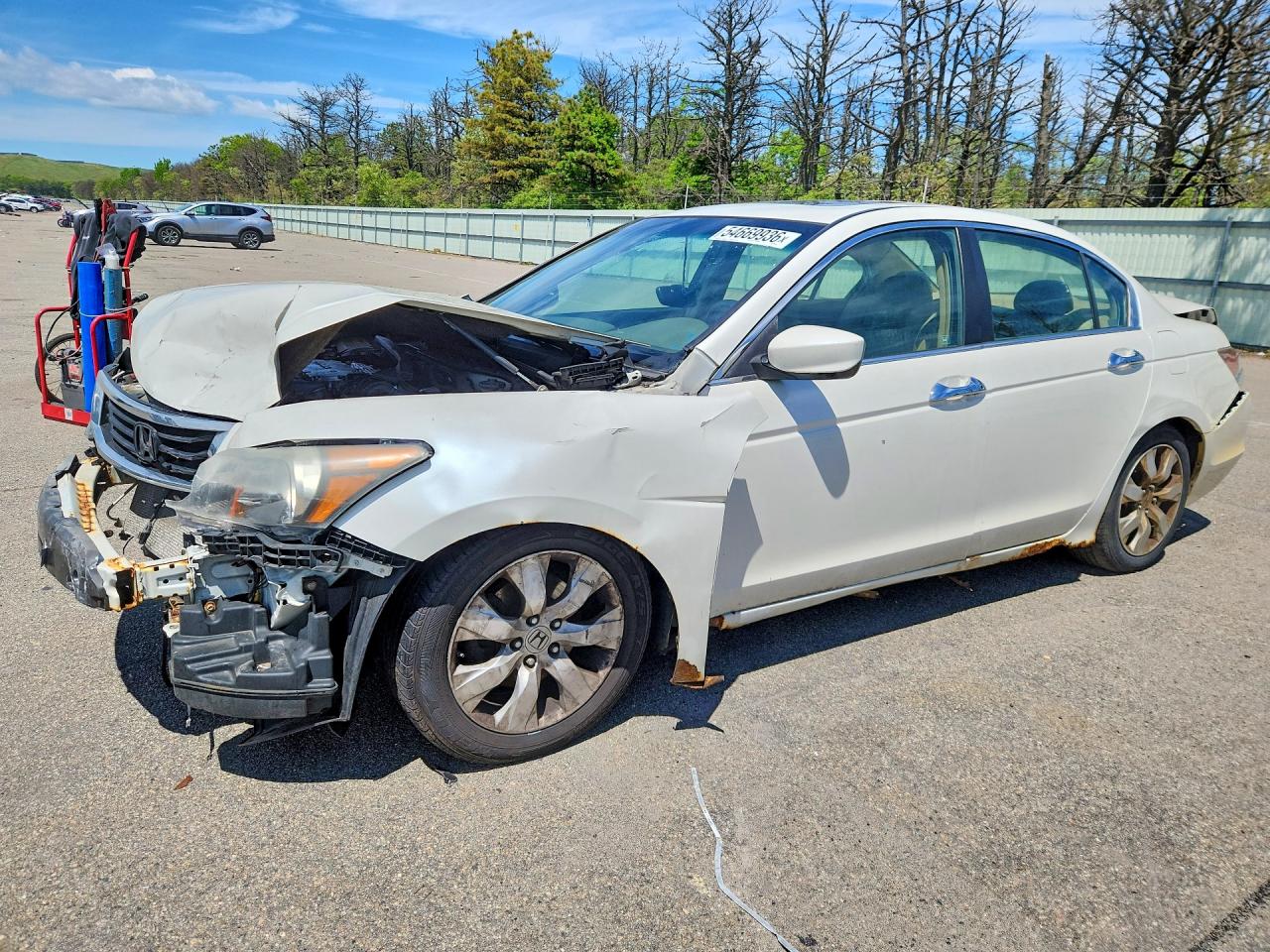 Salvage Honda Accord Image