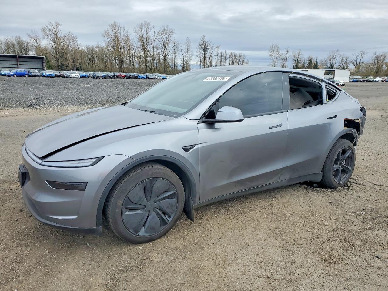 Salvage Tesla Model Y Image