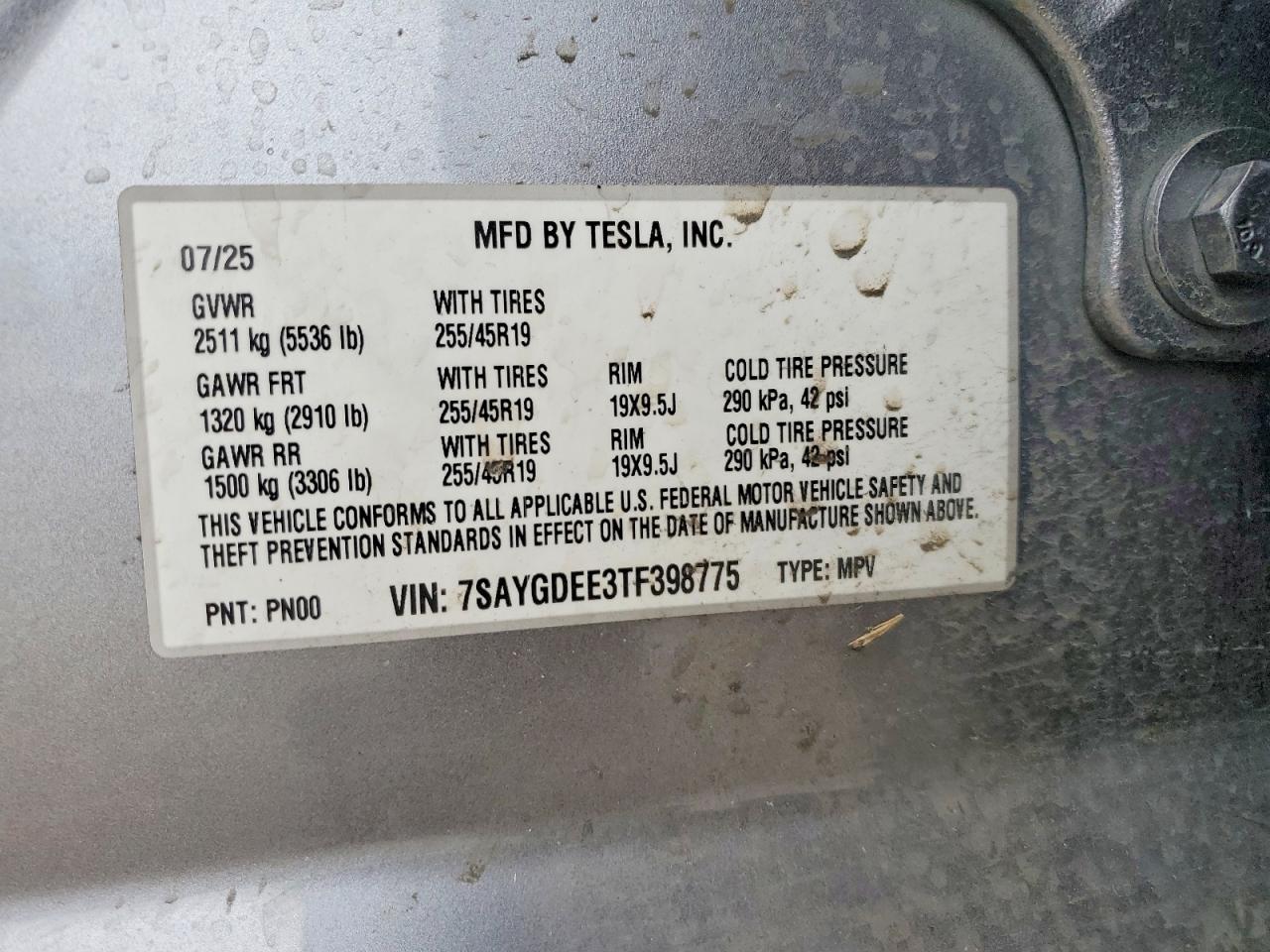 Tesla Model Y