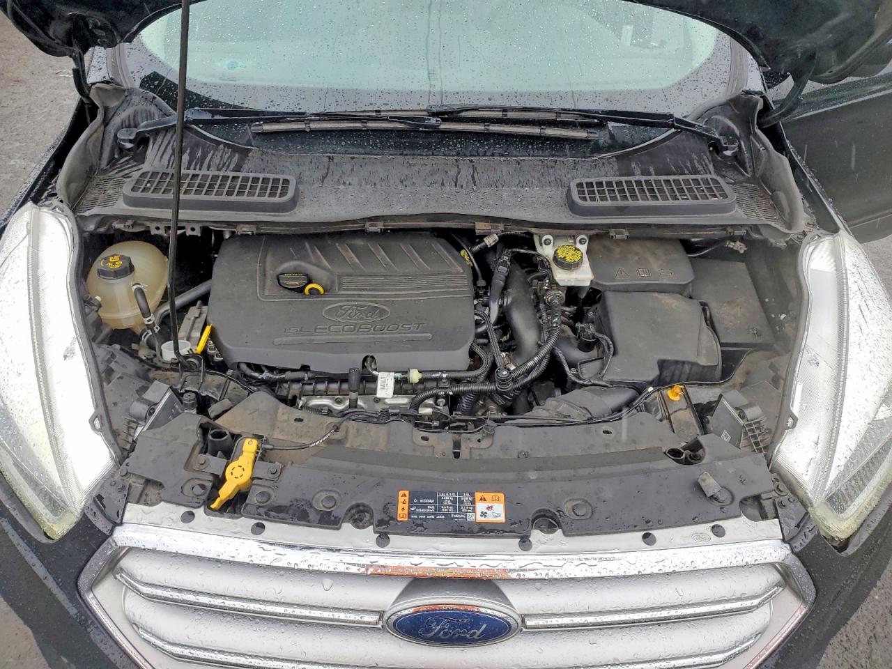 Ford Escape Se