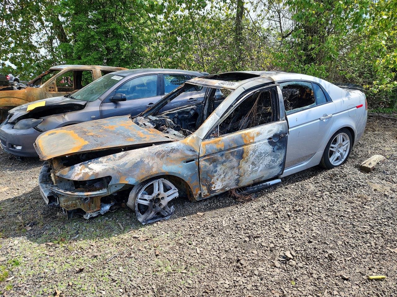 Salvage Acura TL Image