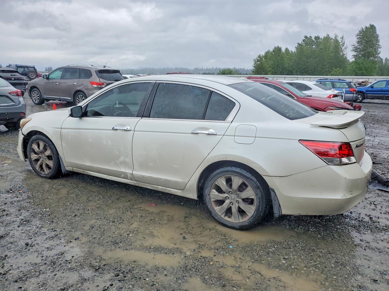 Honda Accord Exl