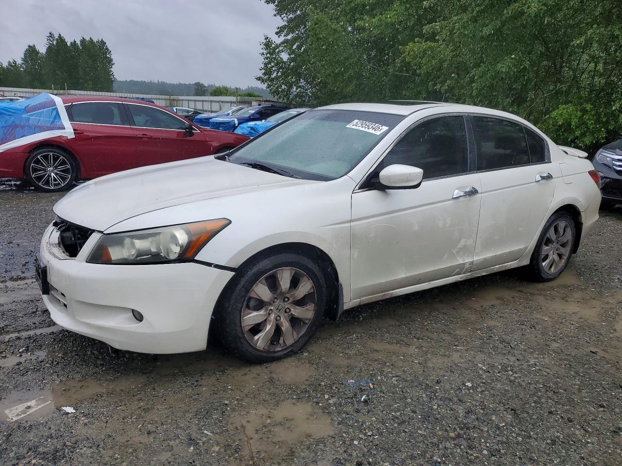 Salvage Honda Accord Image