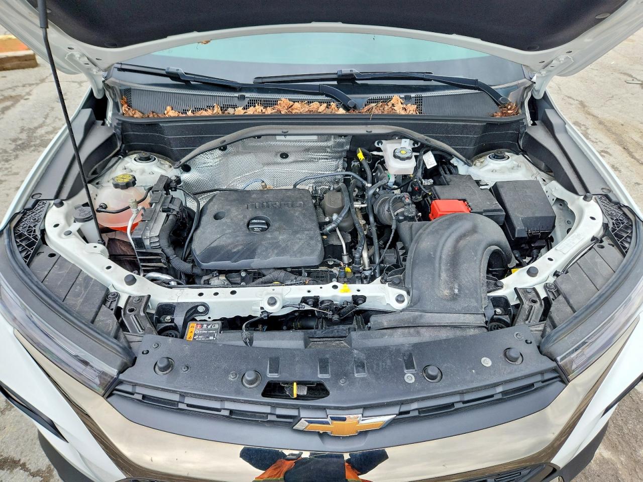 Chevrolet Trailblaze Activ