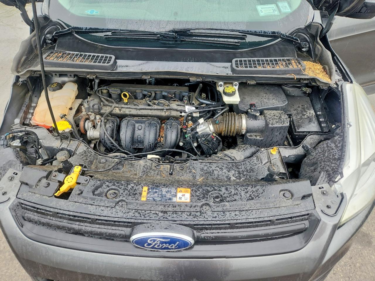 Ford Escape S
