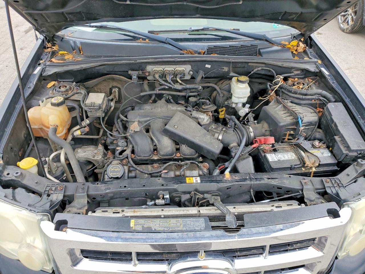 Ford Escape Xlt