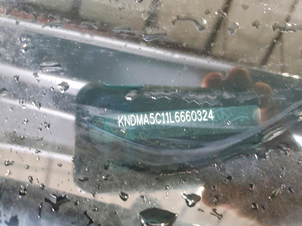 Kia Sedona L