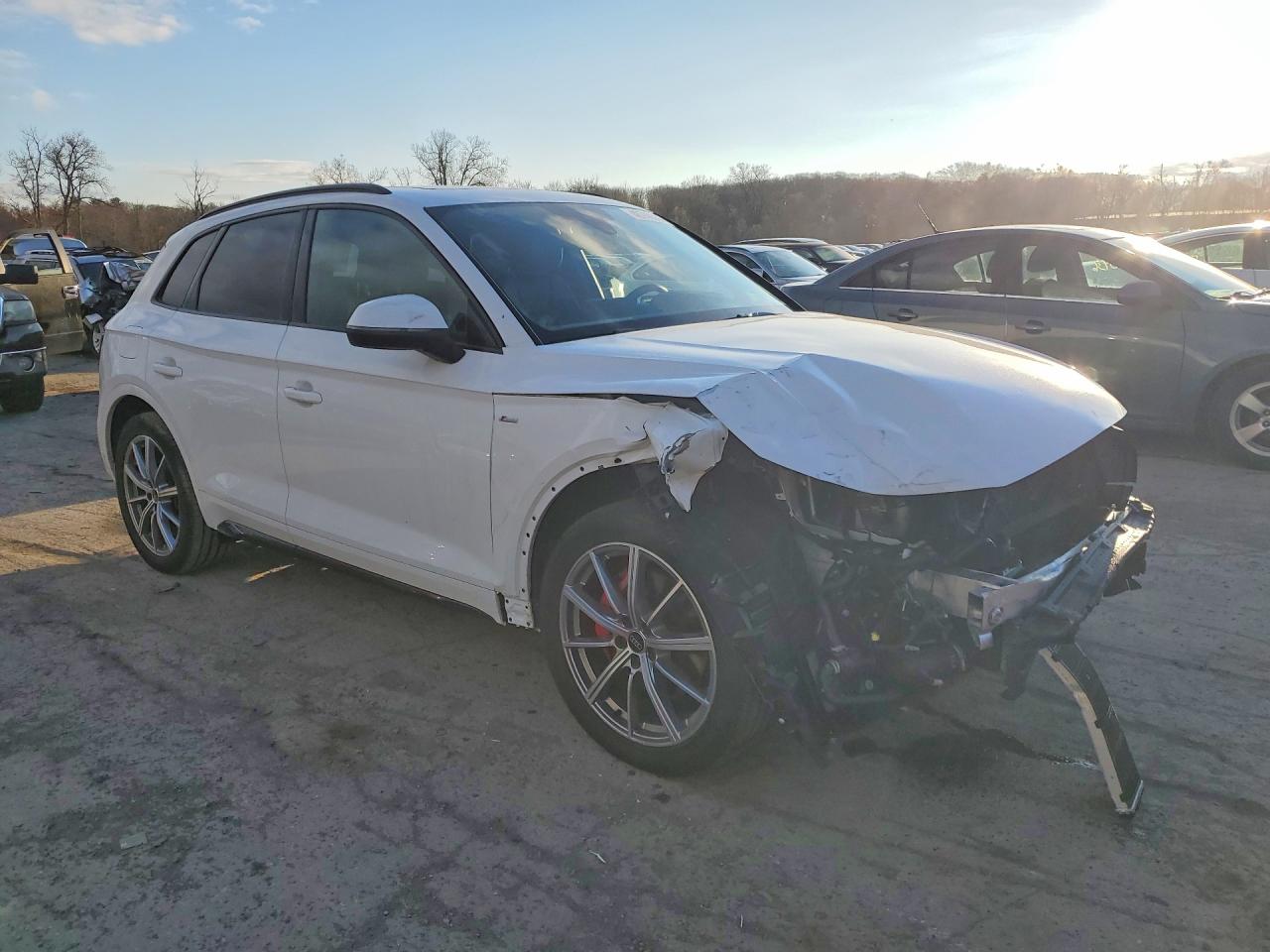 Audi Q5 Premium Plus 55