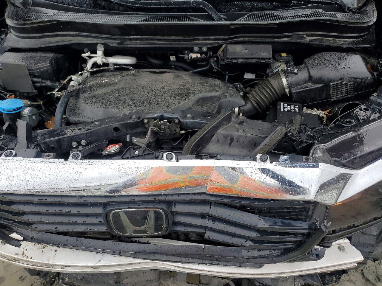 Honda Ridgeline