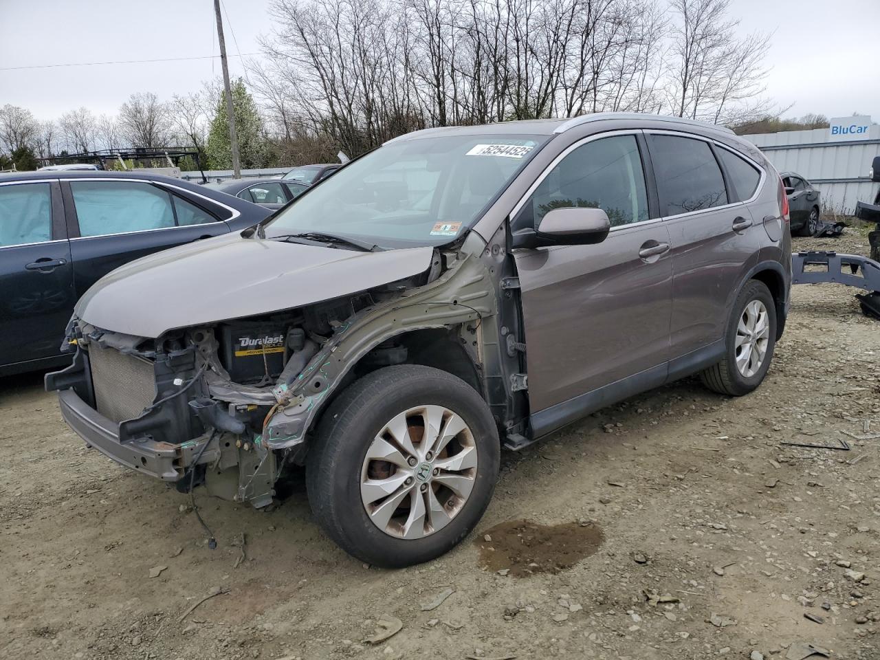 Salvage Honda Crv Image