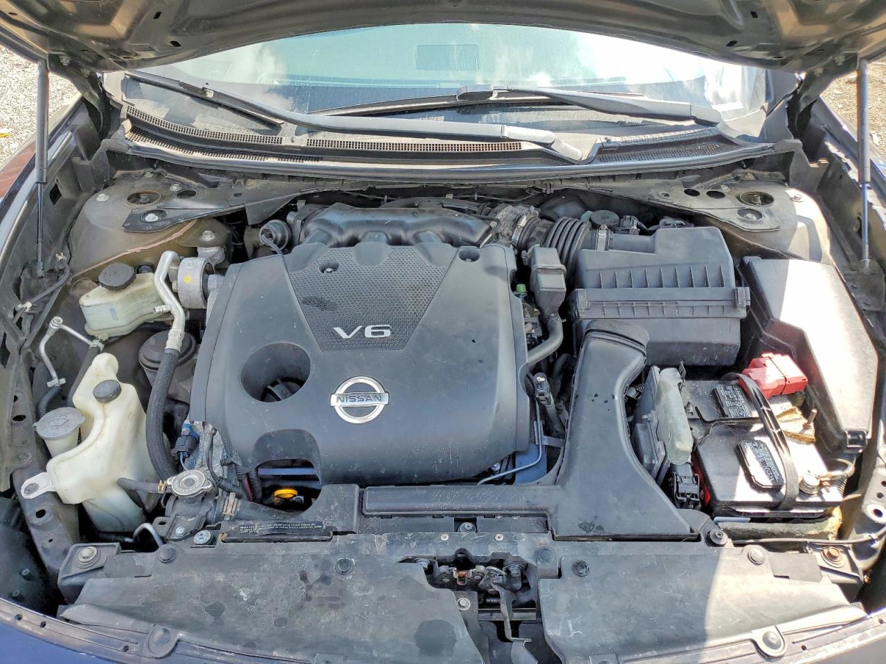 Nissan Maxima 3.5 S