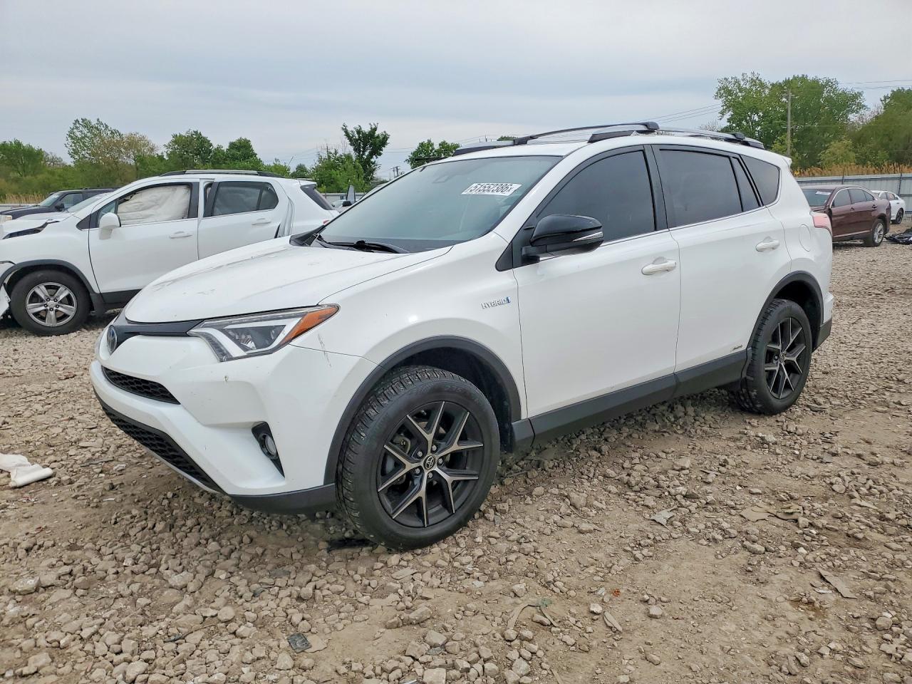 Salvage Toyota RAV4 Image