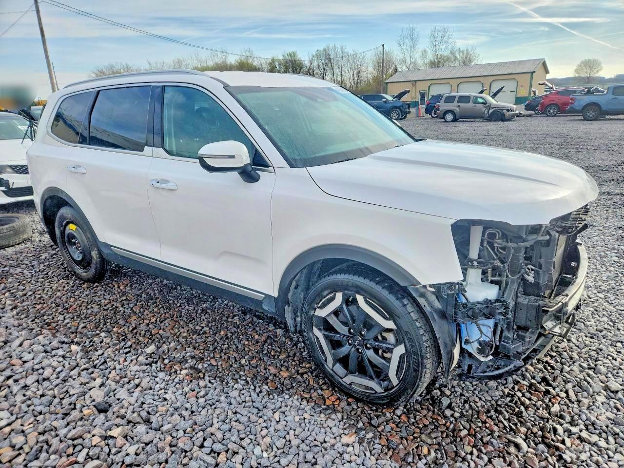 Kia Telluride S